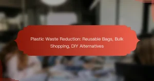 Plastic Waste Reduction: Reusable Bags, Bulk Shopping, DIY Alternatives